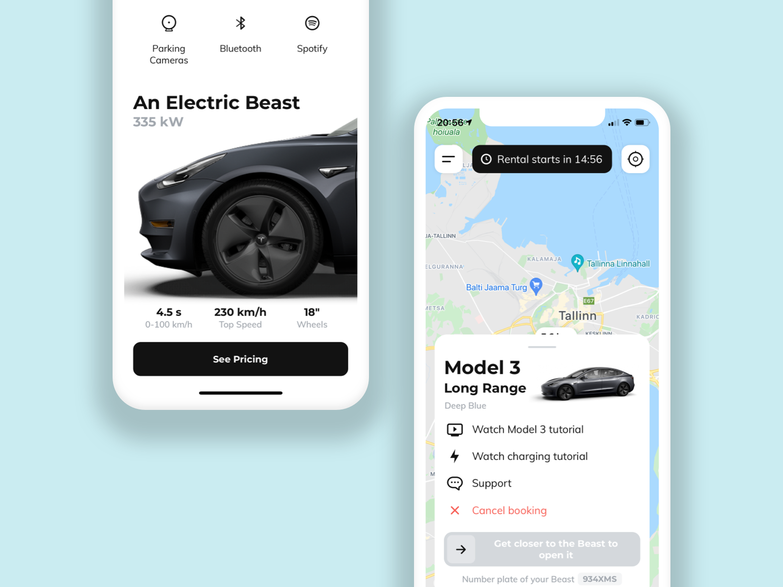 Beast Tesla renting app